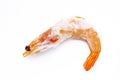 Whole raw frozen shrimp covered in ice on a light background Royalty Free Stock Photo