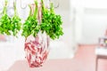 Whole raw lamb leg hanged on hook with bunch of parsley at market or shop. Meat prepared for cook Royalty Free Stock Photo