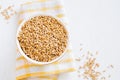 Whole raw oats seeds Royalty Free Stock Photo