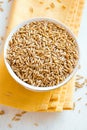 Whole raw oats seeds Royalty Free Stock Photo