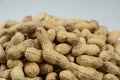 Whole Raw Peanuts in Shell Close-Up Royalty Free Stock Photo