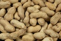 Whole Raw Peanuts in Shell Close-Up Royalty Free Stock Photo