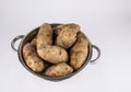 whole raw russet potatoes Royalty Free Stock Photo