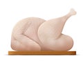 Whole raw turkey, chicken on white