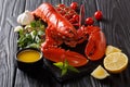 Whole red lobster with fresh parsley, basil, slices of lemon, ga Royalty Free Stock Photo