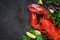 Red steamed lobster with seasoning