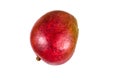 Whole red mango fruit isolated on a white background Royalty Free Stock Photo