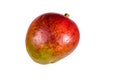 Whole red mango fruit isolated on a white background Royalty Free Stock Photo