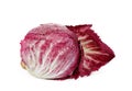 Whole red radicchio isolated on white Royalty Free Stock Photo