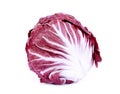 Whole red radicchio or red salad isolated on white Royalty Free Stock Photo