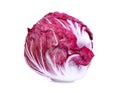Whole red radicchio on white Royalty Free Stock Photo