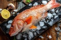 Whole red snapper fish on ice, top view. Royalty Free Stock Photo