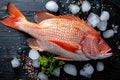 Whole red snapper fish on ice, top view. Royalty Free Stock Photo