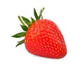 Whole of red strawberry isolated on the white Royalty Free Stock Photo