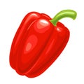 Sweet bell pepper. Vector vintage engraved illustration Royalty Free Stock Photo