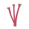 Whole rhubarb stem without leaves in red pink color. Organic spring vegetable. Ingredient for tart baking. Colored flat