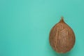 Whole Ripe Coconut on Turquoise Light Green Background. Corner Position. Template for Poster Flyer. Tropical Vacation Wellness Spa