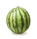 Whole ripe fresh watermelon