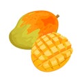 Whole ripe mango and cut in half with cubic slices, organic fruit with sweet pieces