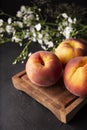 Ripe Peaches Royalty Free Stock Photo