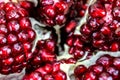 Whole ripe pomegranate open. Red pomegranate seeds up close in an open pomegranate. Pomegranate fruit