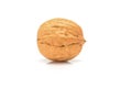 Whole ripe walnut, close up macro, isolated on a white background. Royalty Free Stock Photo