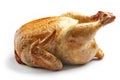 Whole roasted chicken Royalty Free Stock Photo