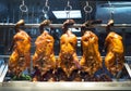 Roasted ducks hanging in a restaurant Royalty Free Stock Photo