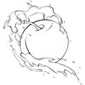 Whole round apple with splash line art