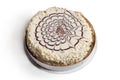 Whole round cake with white and milk chocolate decoration Royalty Free Stock Photo