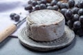 Whole round mature French Tomme cheese close up
