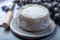 Whole round mature French Tomme cheese close up