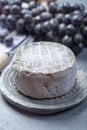 Whole round mature French Tomme cheese close up