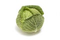 Whole savoy cabbage