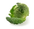 Whole savoy cabbage isolated on white background.