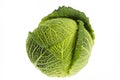 Whole Savoy Cabbage