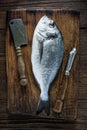 Whole sea fish Royalty Free Stock Photo