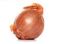 Whole shallot