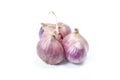 The whole Shallot is a Thai herb and cooking ingredients on white background.