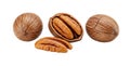 Whole and shelled pecans on white background Royalty Free Stock Photo