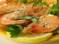Whole shrimps with parsley, closeup Royalty Free Stock Photo