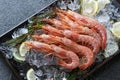 Whole shrimps Royalty Free Stock Photo