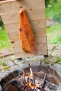 Whole side of salmon spanned to a wooden board and placed near a fire in an outdoor fireplace for making the traditional finnish Royalty Free Stock Photo