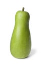 Whole single bottle gourd Royalty Free Stock Photo