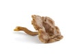 Whole single Chanterelle grise mushroom