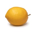 Whole single fresh Meyer lemon close up on white background