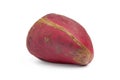 Whole single Kola nut close up Royalty Free Stock Photo