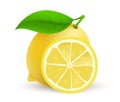 Whole single Lemon fruit - realistic vector icon illustration isolated on white background.