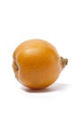 Whole single Loquat Royalty Free Stock Photo