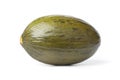 Whole single Piel de sapo melon Royalty Free Stock Photo